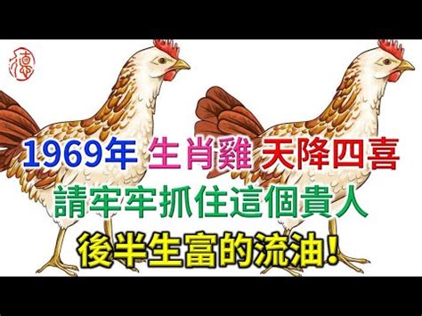 1969年屬雞|【1969年屬雞】1969年屬雞者趨吉避兇指南：2023